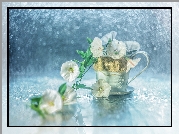 Powój, Kwiaty, Filiżanka, Bokeh