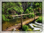 Rzeka, Las, Kładka, Ścieżka