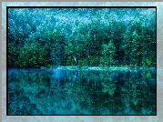Las, Jezioro, Odbicie