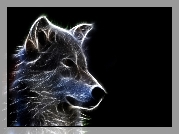 Wilk, Fractalius