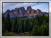 Kanada, Park Narodowy Banff, Góry, Góra Castle Mountain, Las, Drzewa