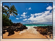 Hawaje, Wyspa Maui, Ocean, Palmy, Chmury, Skały