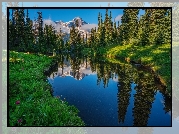 Stany Zjednoczone, Stan Waszyngton, Park Narodowy Mount Rainier, Jezioro  Las, Drzewa, Rzeka, Góry, Odbicie