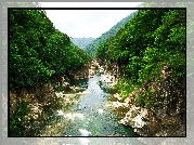 Japonia, Wyspa Honsiu, Park Narodowy Nikko, Rzeka, Kamienie, Drzewa, Góry