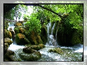 Wodospad, Skały, Drzewa, Plitvice