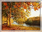 Jesień, Park, Rzeka