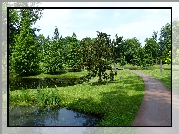 Park, Aleja, Drzewa, Staw
