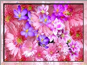 Fractalius, Różowe, Niebieskie, Kwiaty