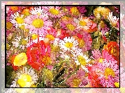 Paintography, Kwiaty