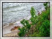 Morze, Woda, Fale, Wybrzeże, Plaża, Rośliny, HDR