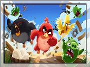 Angry Birds, Film