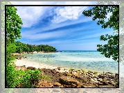 Tajlandia, Wyspa Phi Phi, Morze, Plaża, Kamienie, Drzewa