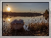 Jezioro, Łódka, Zachód, Słońca, Trawy