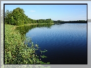 Jezioro, Rośliny