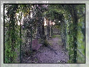 Tunel, Spacerowy, Ławeczka