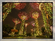 Ogród, Hotel, Marina Bay Sands, Singapur