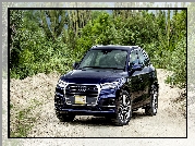 Audi Q5 TFSI Quattro SUV Navarra Blue, 2017, Kaktusy