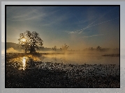 Poranek, Wschód słońca, Mgła, Niebo, Rogaliński Park Krajobrazowy, Rogalin.