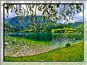 Góry, Las, Jezioro, Łąka
