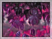 Fractalius, Fioletowe, Liście