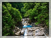 Kamienie, Las, Strumyk