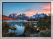 Chile, Patagonia, Góry Torres del Paine, Ośnieżone, Szczyty, Jezioro, Zachód słońca, Krzewy, Park Narodowy Torres del Paine
