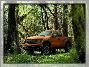 Ford, Raptor, Dżungla