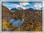 Islandia, Park Narodowy Vatnajökull, Góry, Drzewa, Jezioro