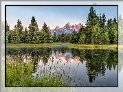 Stany Zjednoczone, Stan Wyoming, Park Narodowy Grand Teton, Rzeka Snake River, Góry Teton Range, Odbicie, Drzewa