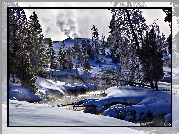 Stany Zjednoczone, Stan Wyoming,  Park Narodowy Yellowstone, Rzeka Firehole River, Zima, Drzewa