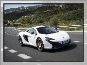 Samochd, McLaren 650S, Droga, Gry