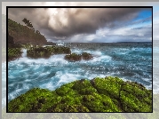 Hawaje, Wybrzeże, Wyspa Kauaʻi, Ocean Spokojny, Drzewa, Chmury, Omszałe, Skały