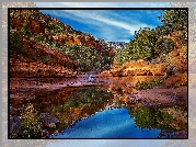 Stany Zjednoczone, Stan Arizona, Park stanowy Slide Rock, Kanion, Rzeka, Skały, Drzewa