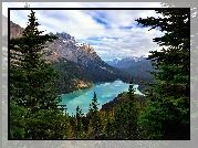 Kanada, Prowincja Alberta, Park Narodowy Banff, Jezioro Moraine, Drzewa, Góry, Świerki