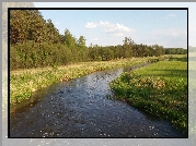 Rzeka, Pola