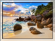 Szeszele, Wyspa, Piękna, Plaża, Kamienie, Palmy, Ocean Indyjski