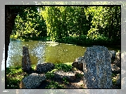 Park, Staw, Kamienie, Drzewa