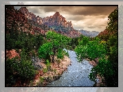 Stany Zjednoczone, Stan Utah, Park Narodowy Zion, Gra Watchman, Rzeka Virgin River, Drzewa, Gry