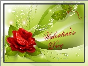 Walentynki, Róża, Grafika 2D