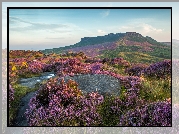 Anglia, Park Narodowy Peak District, Wzgórza, Skały, Wrzosy, Wrzosowisko