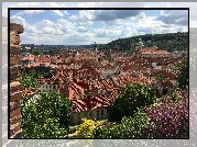 Czechy, Praga, Stare, Miasto