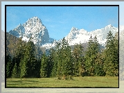Góry, Śnieg, Las, Łąka