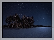 Noc, Zima, Drzewa, Księżyc, Gwiazdy