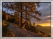Austria, Reichraming, Droga, Drzewa, Las, Zbocze, Góry, Zachód słońca