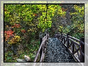 Most, Jesień, Skały