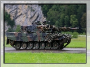 Las, Skała, Droga, Czołg, Leopard 2