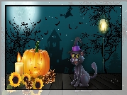 Halloween, Kot, Dynia, Latarnia