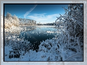 Jezioro, Drzewa, Trawy, Zima