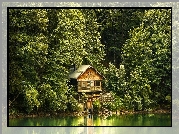 Domek, Jezioro, Las