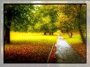 Jesień, Park